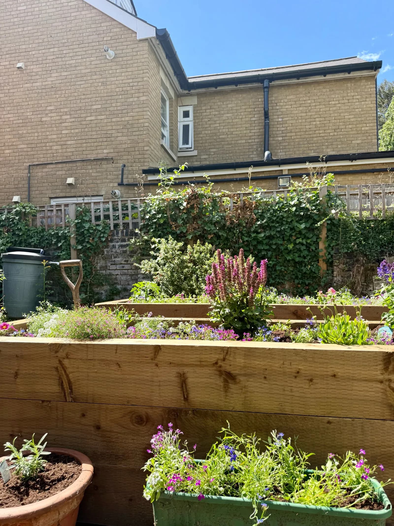 ECH WORKS — Raised Beds