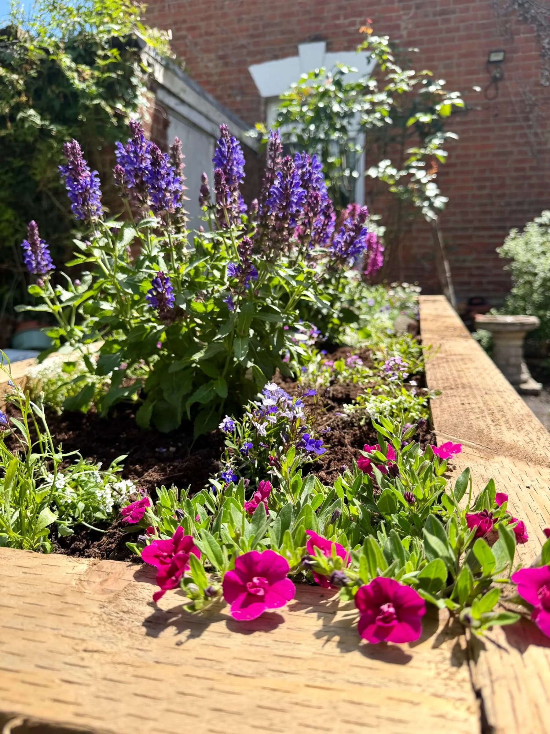 ECH WORKS — Raised bed with purple and pink flowers against a brick wall backdrop.